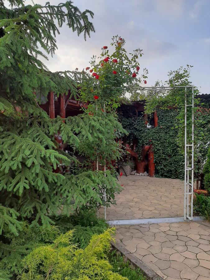 Casa Neagu Hotel Covasna Ngoại thất bức ảnh