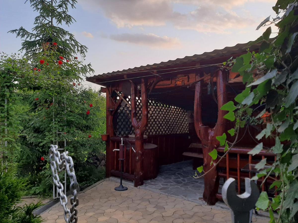 Casa Neagu Hotel Covasna Ngoại thất bức ảnh