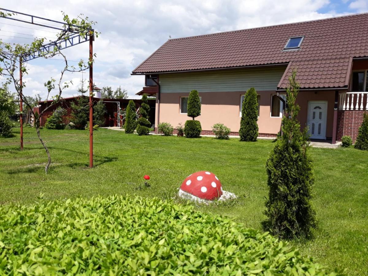 Casa Neagu Hotel Covasna Ngoại thất bức ảnh